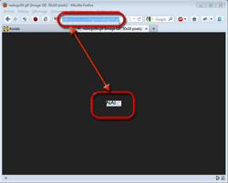Tous les mini logos se comportent comme des Web-Bugs !