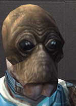 Kodin